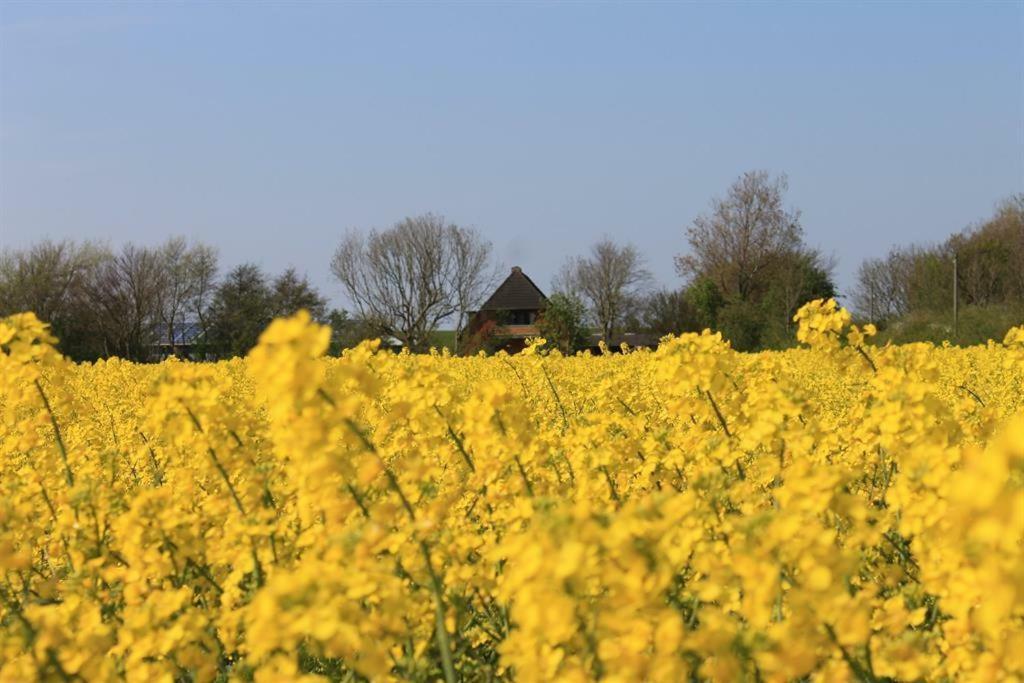 Ferienhof Am Deich Tumlauer Koog Exterior photo